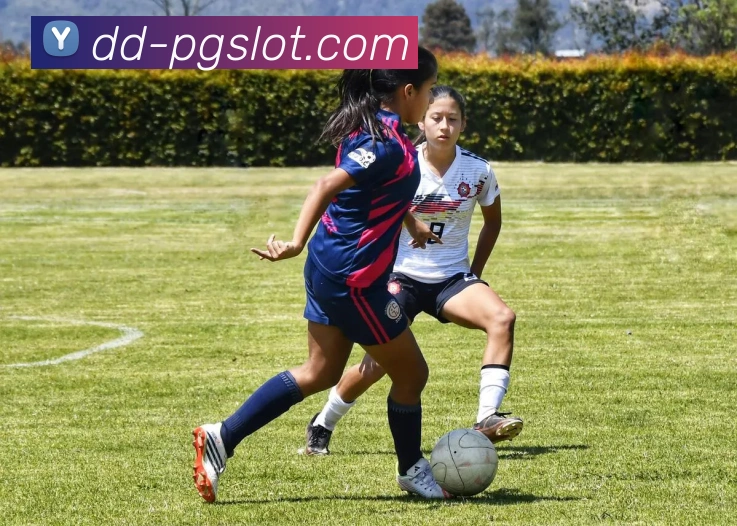 麻将胡了PG官网平台生态图